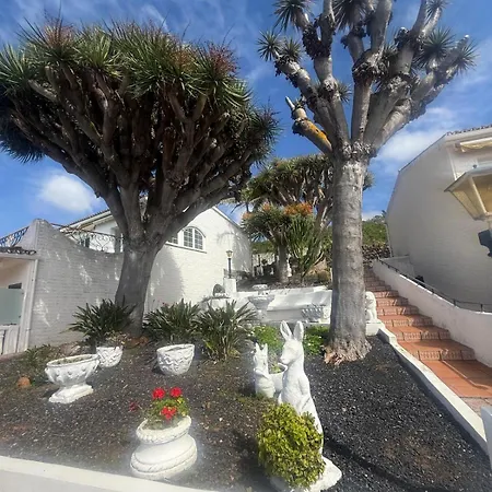 Lägenhet Precioso Loft Con Piscina Santa Cruz de Tenerife