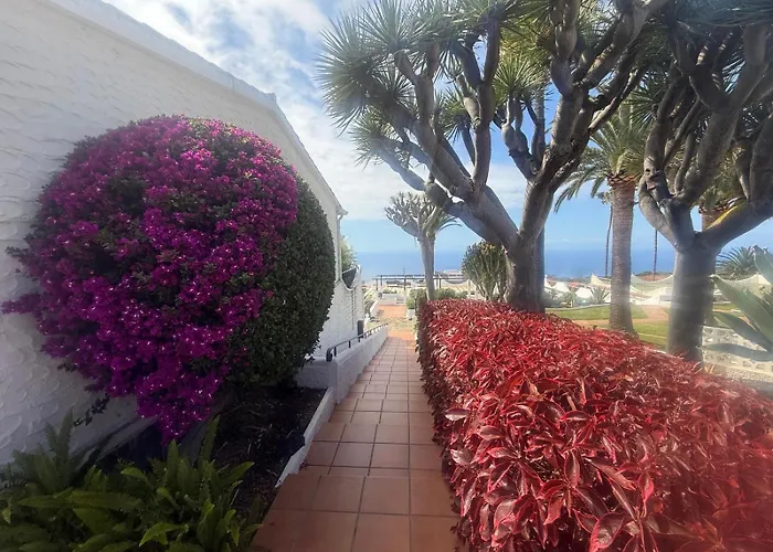 Precioso Loft Con Piscina * Santa Cruz de Tenerife